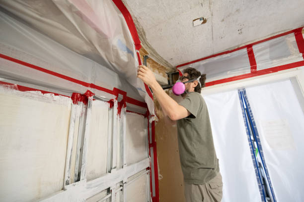 Best Mold Prevention Services  in Hydro, OK