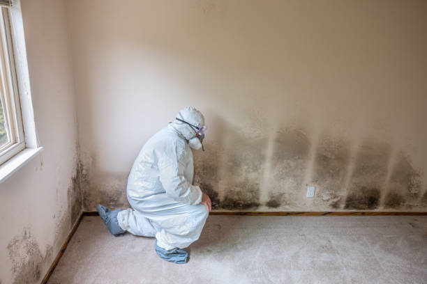 Best Real Estate Mold Inspection  in Hydro, OK